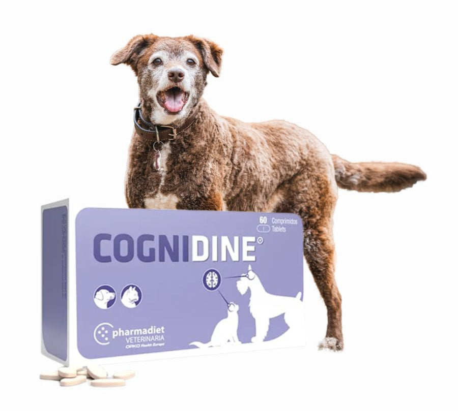 Cognidine 60 Comprimidos, suplemento natural para perros y gatos, sin pollo ni conservantes, ideal para la salud cognitiva diaria. B-Pets