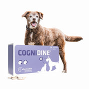 Cognidine Blister 10 Comprimidos, suplemento natural para perros y gatos, sin pollo ni conservantes, ideal para la salud cognitiva diaria.