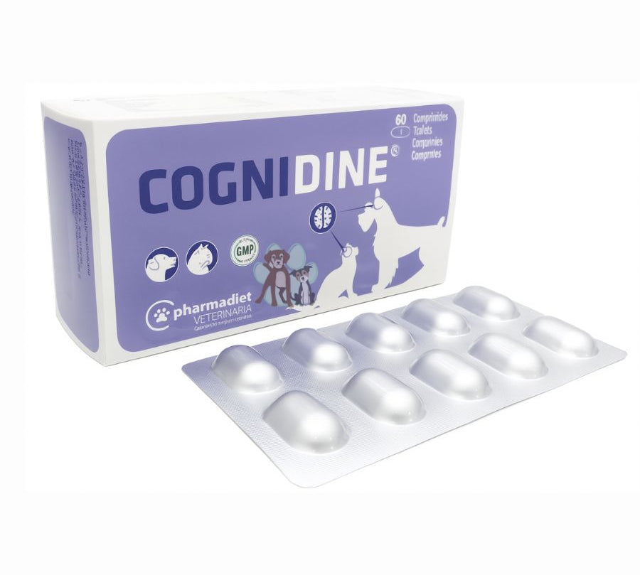 Cognidine Blister 10 Comprimidos, suplemento natural para perros y gatos, sin pollo ni conservantes, ideal para la salud cognitiva diaria.
