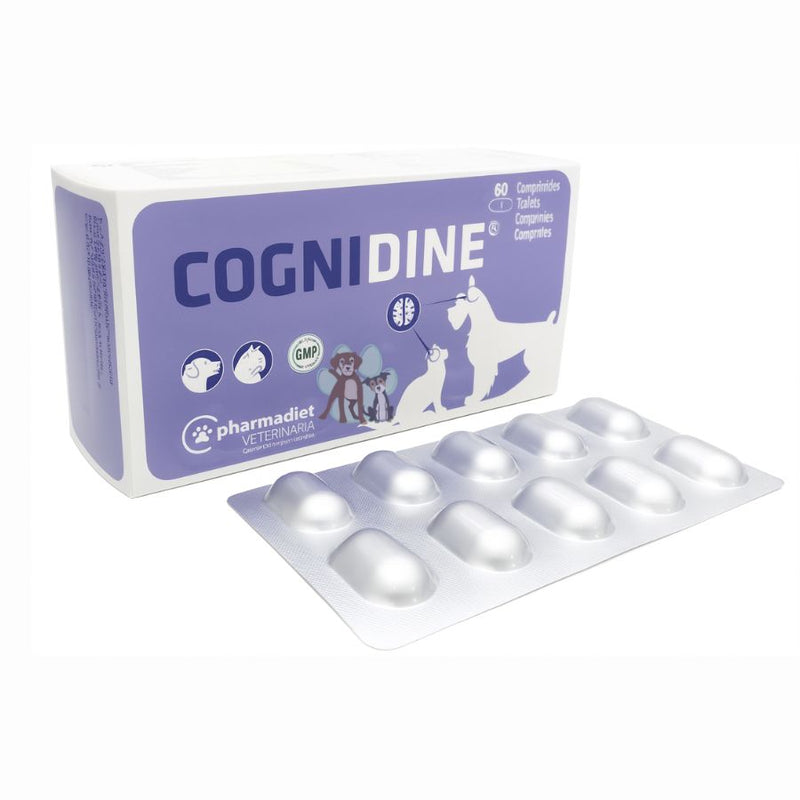 Cognidine Blister 10 Comprimidos