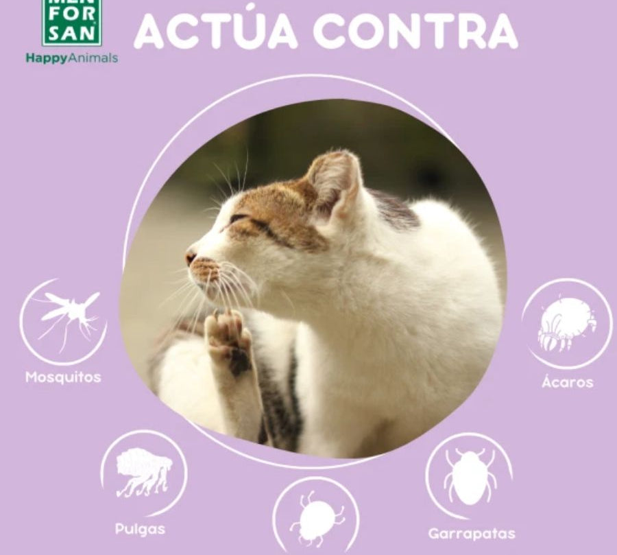 Collar Anti-Insectos para Gatos Men for San, con margosa, geraniol y lavandino, protege contra pulgas, garrapatas y mosquitos hasta por 3 meses.