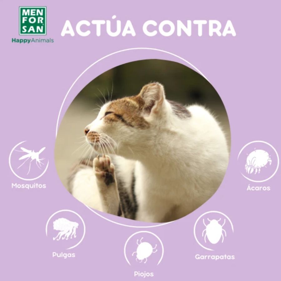 Collar Anti-Insectos para Gatos Men for San, con margosa, geraniol y lavandino, protege contra pulgas, garrapatas y mosquitos hasta por 3 meses.