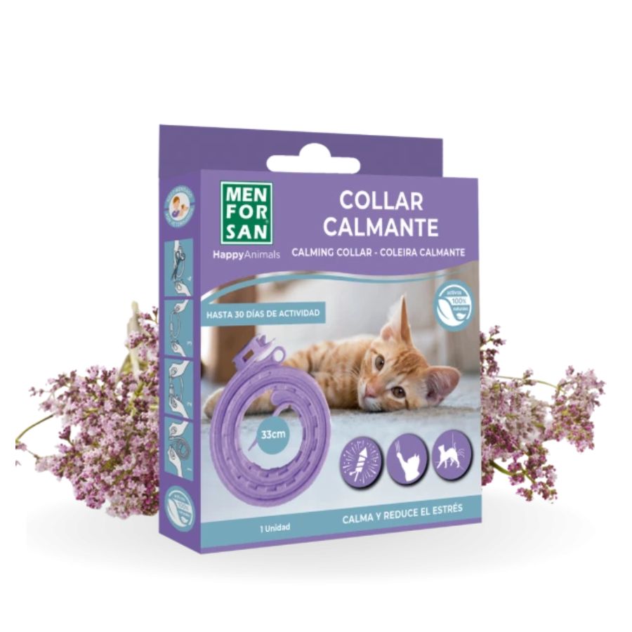 Collar Calmante para Gatos Men for San con valeriana natural, ideal para reducir ansiedad, estrés y mejorar el comportamiento felino.