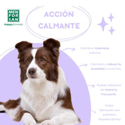Collar Calmante para Perros Men for San con valeriana natural, reduce ansiedad, estrés y conductas no deseadas. Ajustable y seguro.