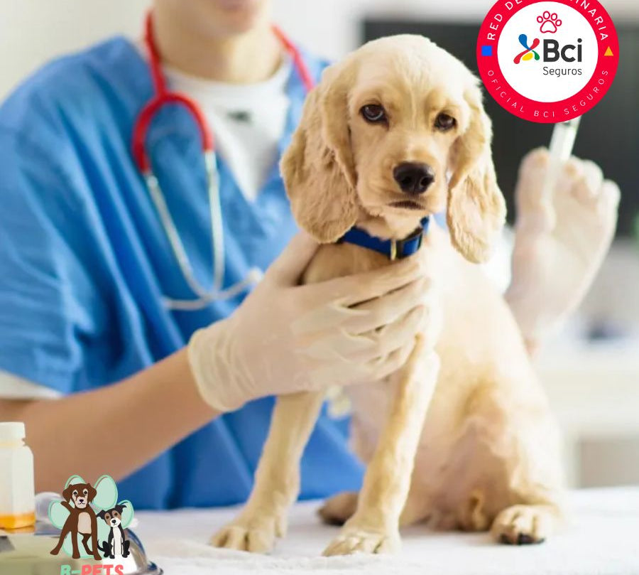 Vacuna óctuple para perros protege contra 8 enfermedades graves como Distemper y Parvovirus. Refuerza sus defensas desde cachorro con dosis anuales.