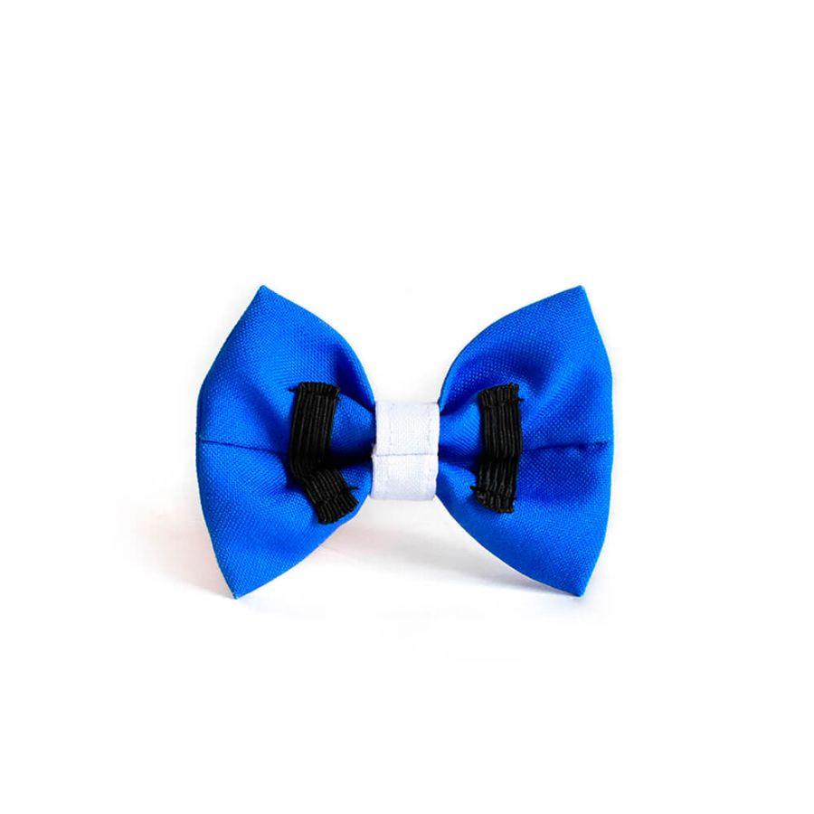 Corbatín Bandera Chilena, accesorio elegante y patriótico para perros y gatos. Celebra las Fiestas Patrias con estilo y confort.