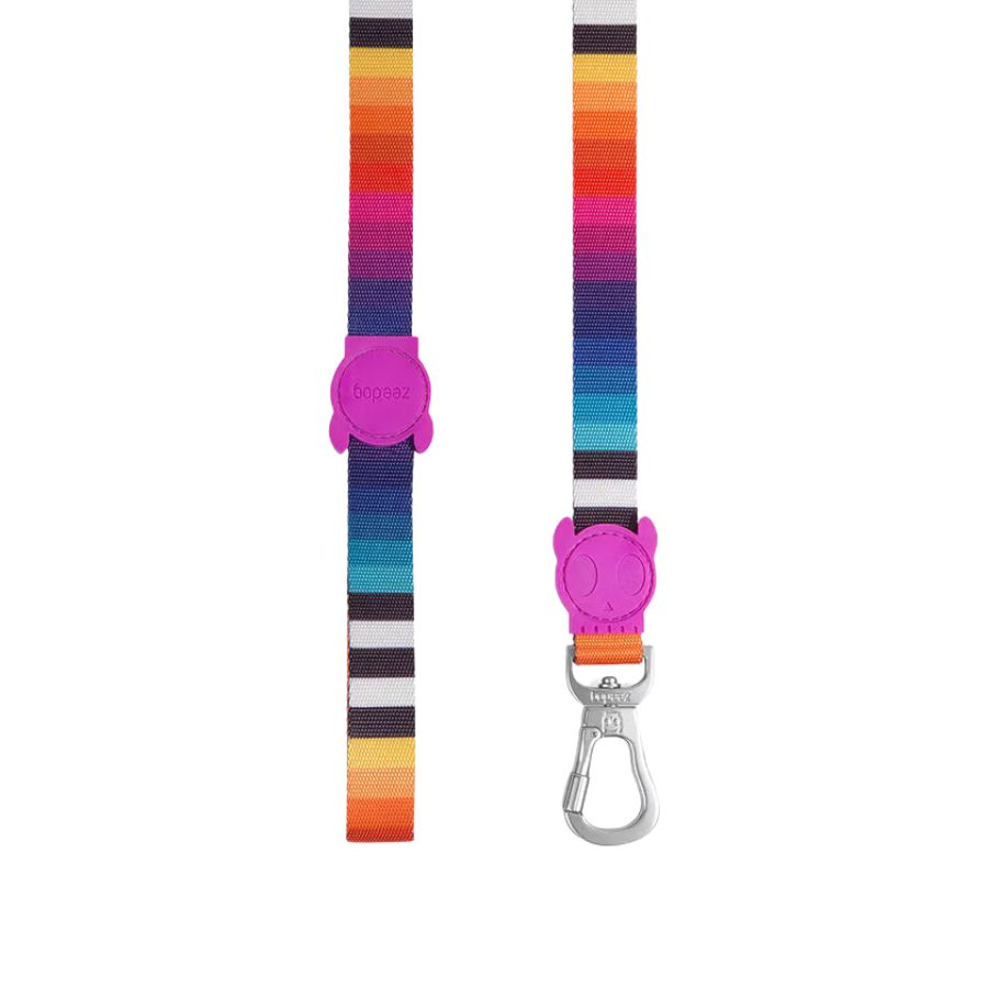 Correa ZeeDog Prisma Leash: Robusta y segura para paseos diarios. 🐾 Con THE SUPER HOOK giratorio y material de poliéster teteron duradero. Diseño elegante y cómodo.