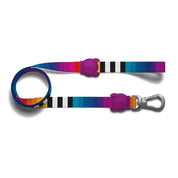 Correa ZeeDog Prisma Leash: Robusta y segura para paseos diarios. 🐾 Con THE SUPER HOOK giratorio y material de poliéster teteron duradero. Diseño elegante y cómodo.