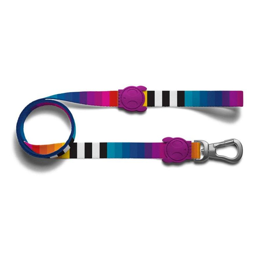 Correa ZeeDog Prisma Leash: Robusta y segura para paseos diarios. 🐾 Con THE SUPER HOOK giratorio y material de poliéster teteron duradero. Diseño elegante y cómodo.
