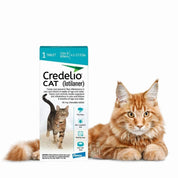 Credelio Gato 2 a 8 Kg 1 Comprimido elimina pulgas en 6h y protege por 30 días. Tableta palatable, fácil de administrar y recomendada por veterinarios.
