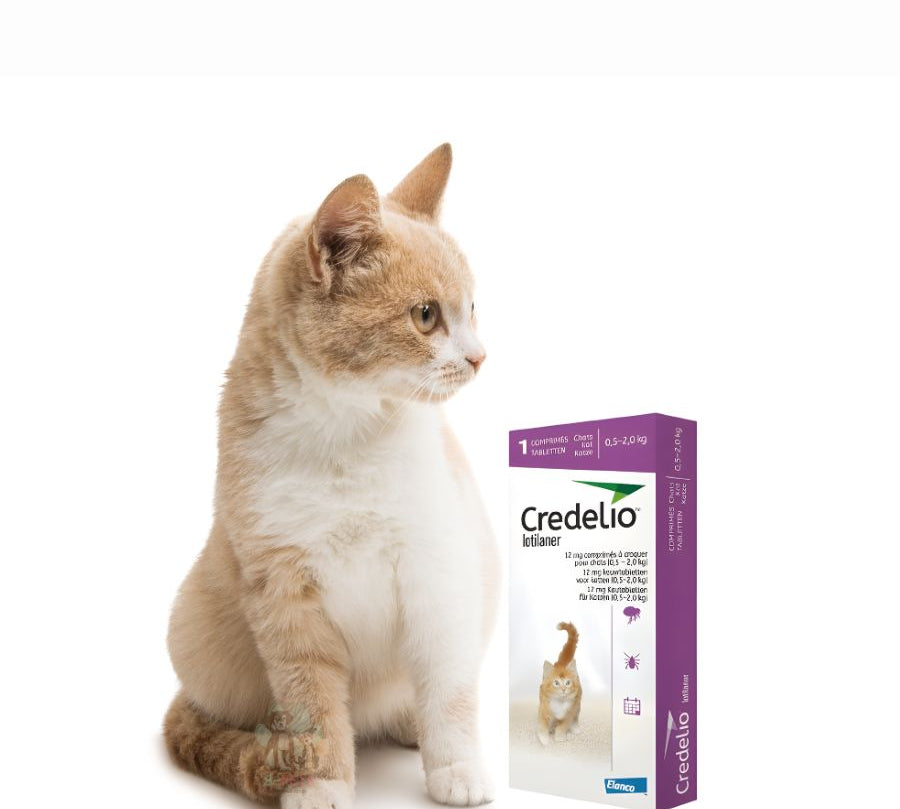 Credelio Gato 0.5 a 2 Kg 1 Comprimido elimina pulgas en 6h y protege 30 días con una sola dosis. Seguro, palatable y fácil de administrar.