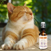 Cunatex Calmante Natural con Nanotecnologia Serenity-Pet 50ml