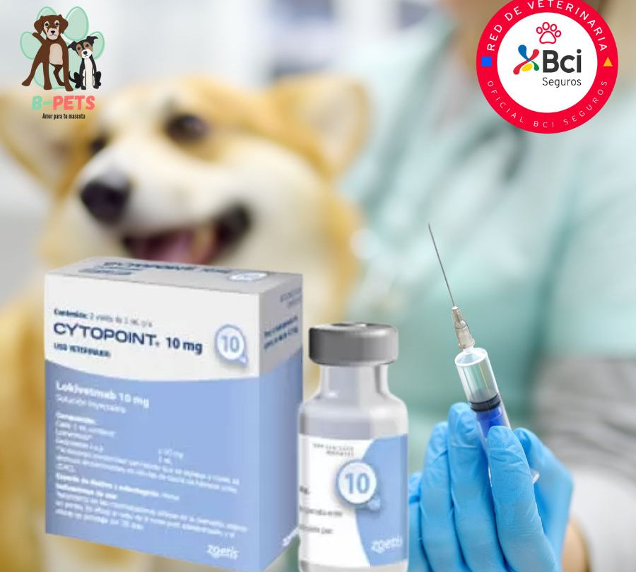 Cytopoint para perros pequeños– Inyección en consulta veterinaria, alivia el prurito por dermatitis atópica en perros desde el primer día, con acción prolongada y segura.