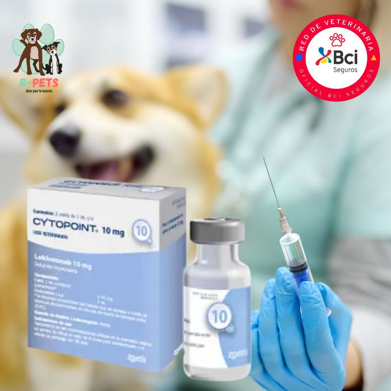 Inyección en consulta veterinaria