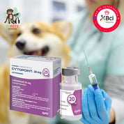 Cytopoint para perros pequeños– Inyección en consulta veterinaria, alivia el prurito por dermatitis atópica en perros desde el primer día, con acción prolongada y segura.