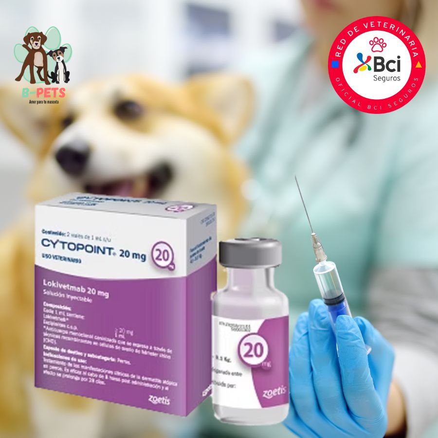 Cytopoint para perros pequeños– Inyección en consulta veterinaria, alivia el prurito por dermatitis atópica en perros desde el primer día, con acción prolongada y segura.