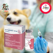 Cytopoint para perros medianos – Inyección en consulta veterinaria, alivia el prurito por dermatitis atópica en perros desde el primer día, con acción prolongada y segura.