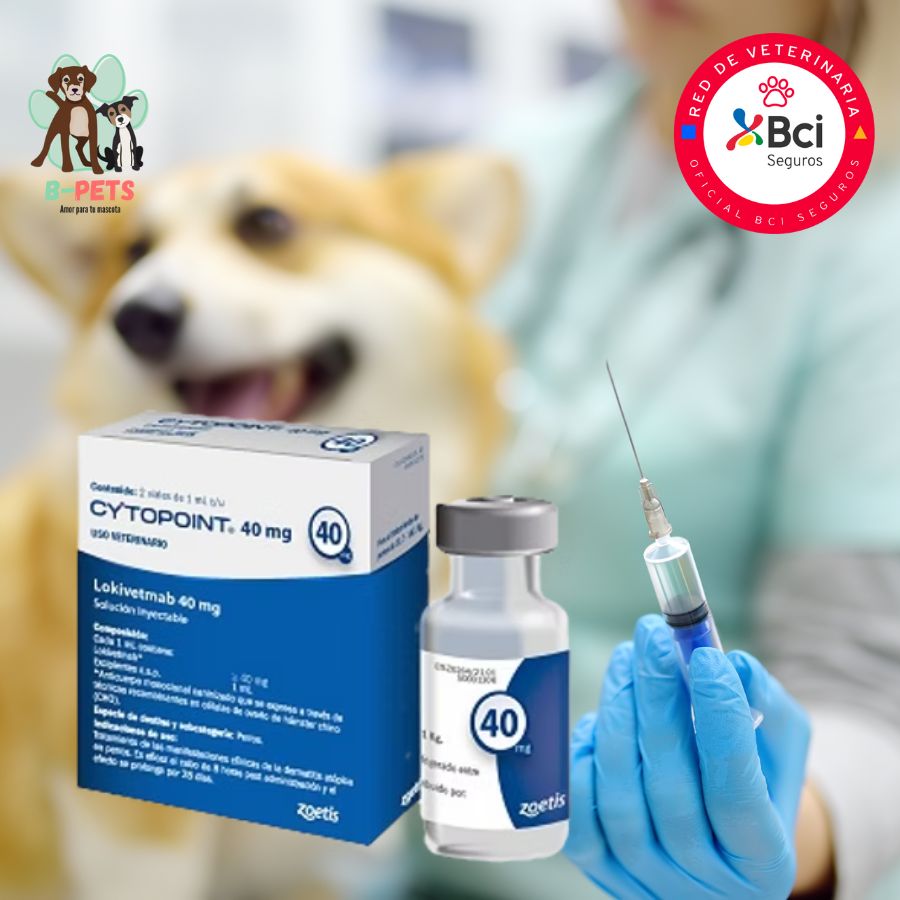 Cytopoint para perros grandes - Inyección en consulta veterinaria, alivia el prurito por dermatitis atópica en perros desde el primer día, con acción prolongada y segura.