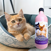 Detergente Antiolores Fuchi Chao 700 ml: potente detergente, desincrustante, desengrasante, desinfectante y eliminador de olores.