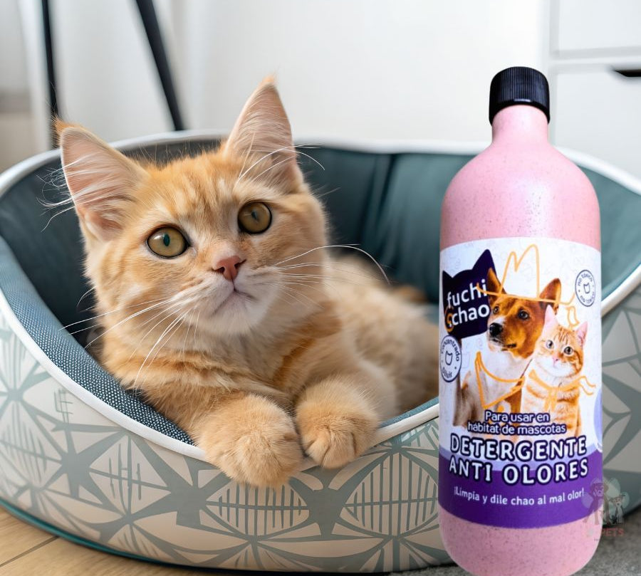 Detergente Antiolores Fuchi Chao 700 ml: potente detergente, desincrustante, desengrasante, desinfectante y eliminador de olores.
