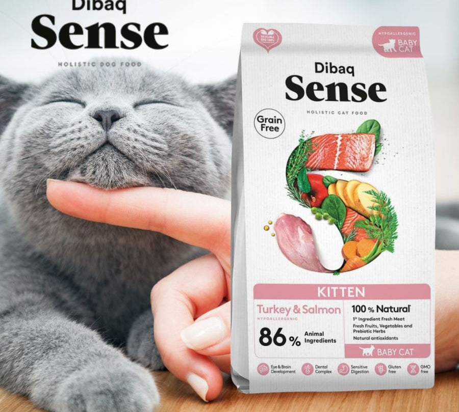 Dibaq Sense Grain Free Kitten Pavo & Salmón 6kg: Alimento hipoalergénico para gatitos. 86% de proteína animal, omega 3, antioxidantes y cuidado articular. ¡Cuida a tu gatito desde el primer mes de vida!