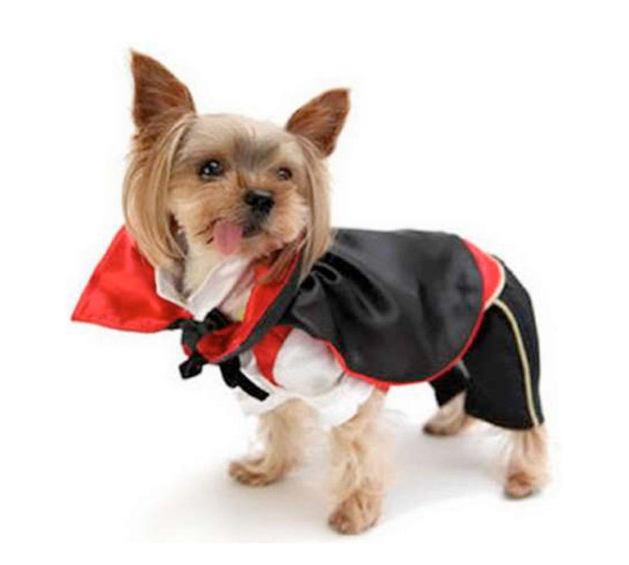 Disfraz de Vampiro para Perros y Gatos 🧛, hecho de algodón suave y con diseño completo de capa y camisa. ¡Ideal para Halloween y fiestas!