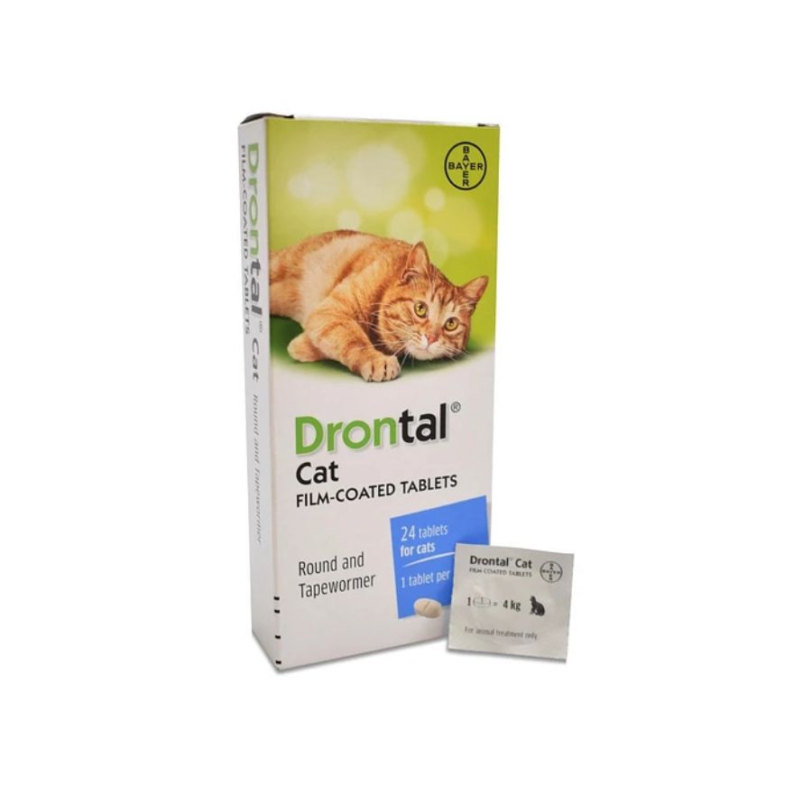 Drontal Antiparasitario Gatos 1 Comprimido, elimina nemátodos y tenias con una sola dosis. Seguro, efectivo y fácil de administrar. Bpets