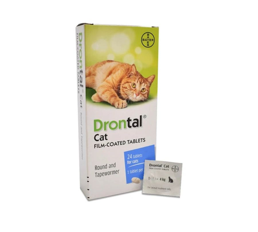 Drontal Antiparasitario Gatos 1 Comprimido, elimina nemátodos y tenias con una sola dosis. Seguro, efectivo y fácil de administrar. Bpets