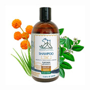 Ecoaustralis Shampoo Hipoalergénico Natural Quillay Matico Aloe 350 mL, ideal para piel sensible. Limpia, hidrata y calma con más del 97% de ingredientes naturales.