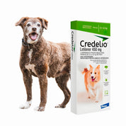 Credelio Perro 11 a 22 Kg 1 Comprimido elimina pulgas en 2h y garrapatas en 4h. Comprimido masticable de alta palatabilidad con protección mensual.