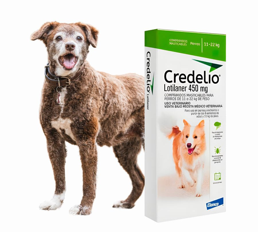 Credelio Perro 11 a 22 Kg 1 Comprimido elimina pulgas en 2h y garrapatas en 4h. Comprimido masticable de alta palatabilidad con protección mensual.
