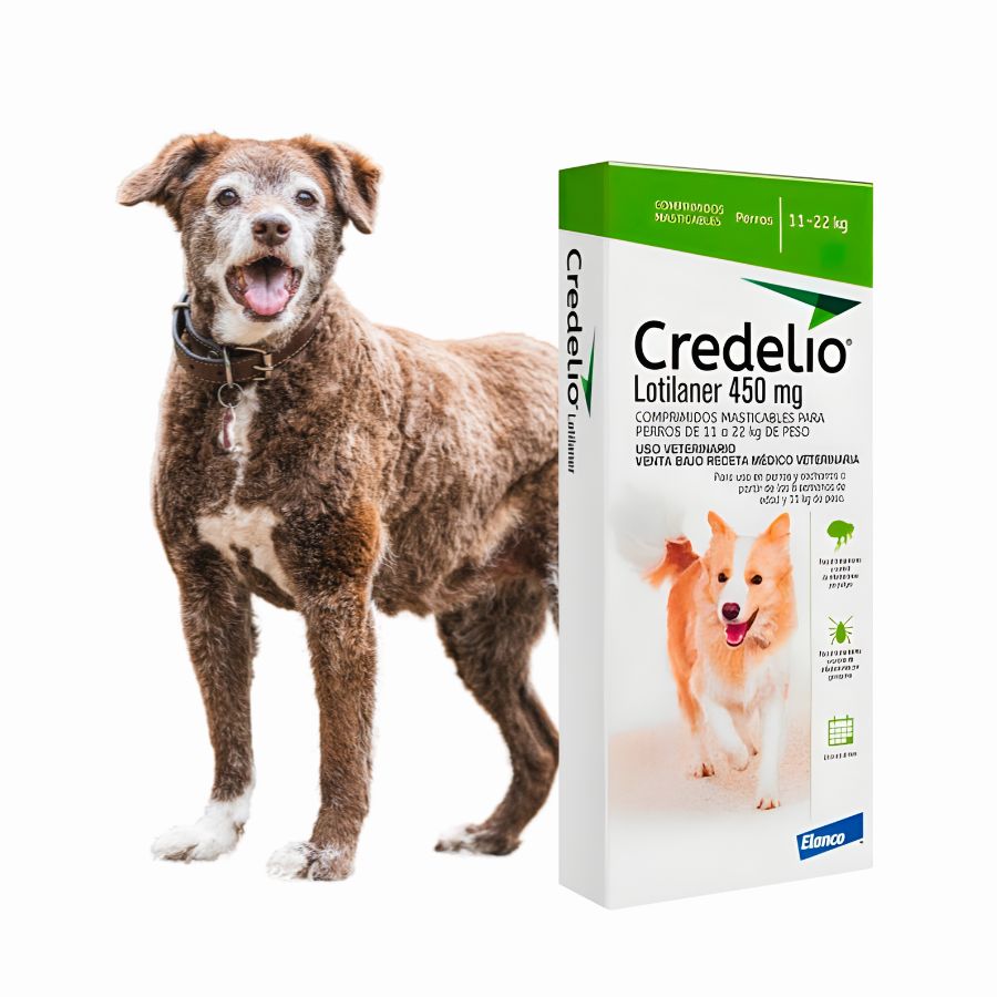 Credelio Perro 11 a 22 Kg 3 Comprimidos elimina pulgas en 2h y garrapatas en 4h. Comprimido masticable de alta palatabilidad con protección mensual.
