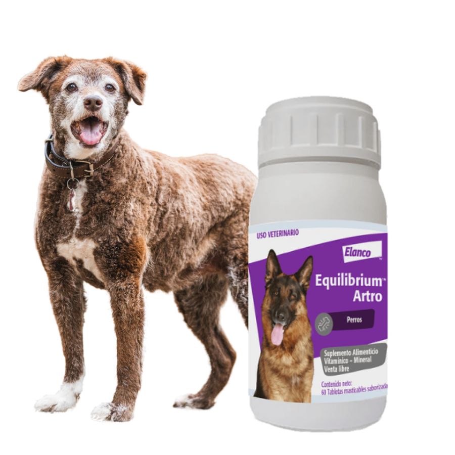 Equilibrium Artro 60 Comprimidos para Perros suplemento articular con glucosamina, Omega 3 y vitaminas para movilidad y cartílago saludable.