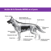 Equilibrium Artro 60 Comprimidos para Perros suplemento articular con glucosamina, Omega 3 y vitaminas para movilidad y cartílago saludable.
