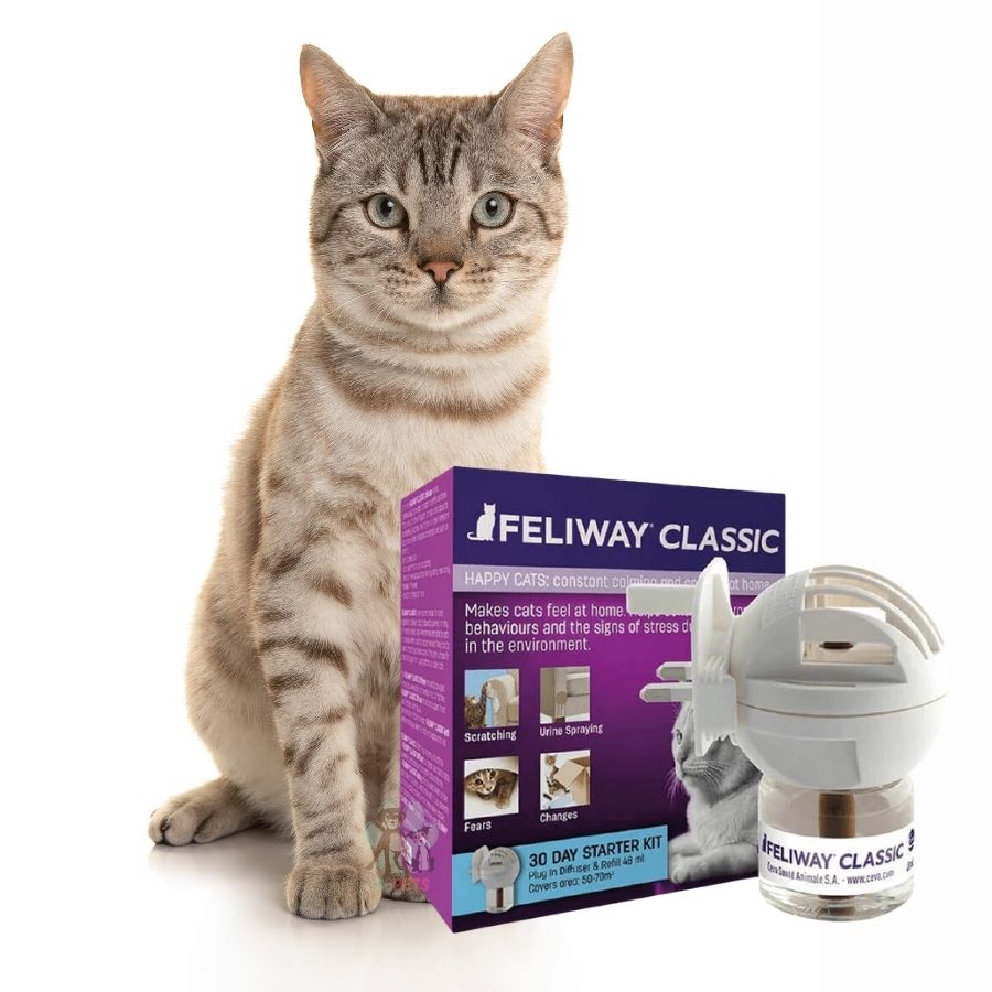 Feliway Classic Difusor + Repuesto 48 ML ayuda a reducir el estrés, previene el marcaje urinario y mejora la convivencia con tu gato en casa.