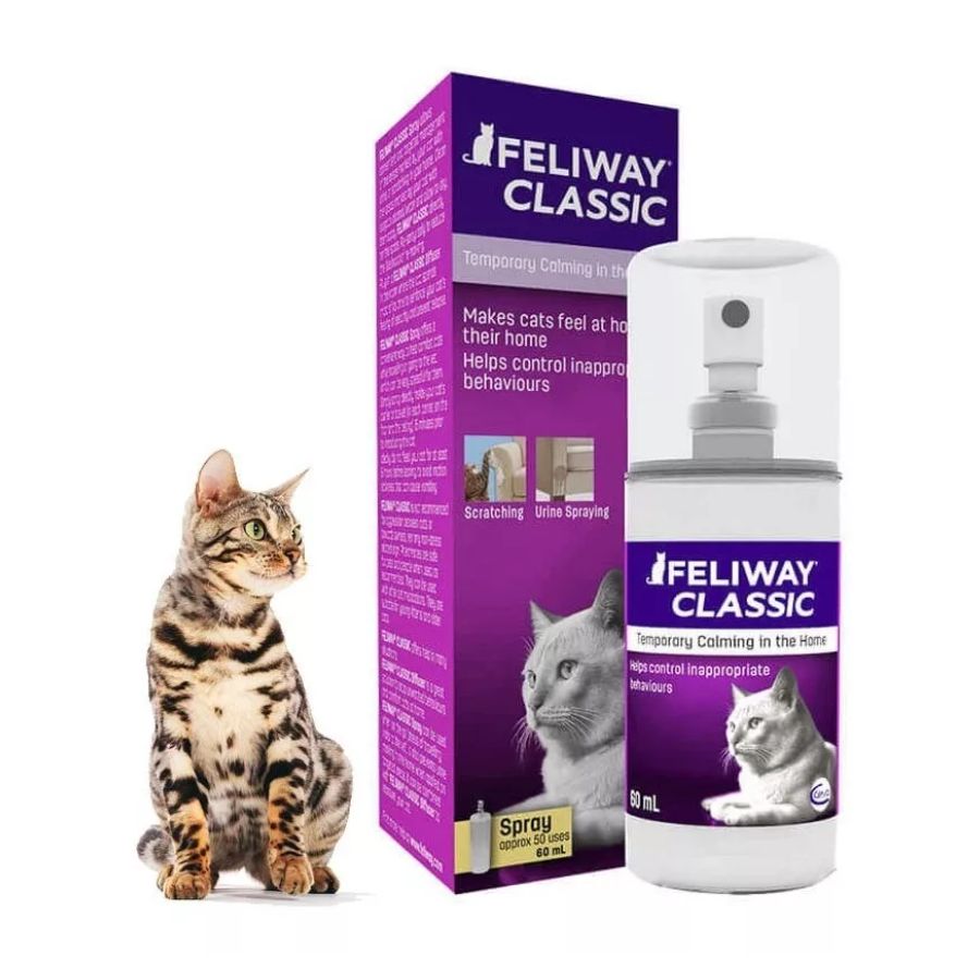 Feliway Classic Spray 60ml 🐱 reduce el estrés en gatos durante viajes y en casa. Ideal para prevenir marcaje por orina o arañazos. Fácil y seguro de usar.