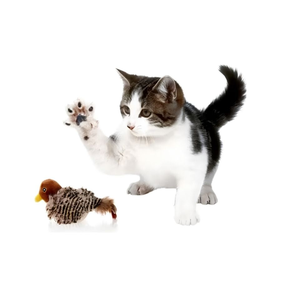 Gatito blanco y gris levantando la pata para atrapar el Peluche Gorrión con Sonido para gatos