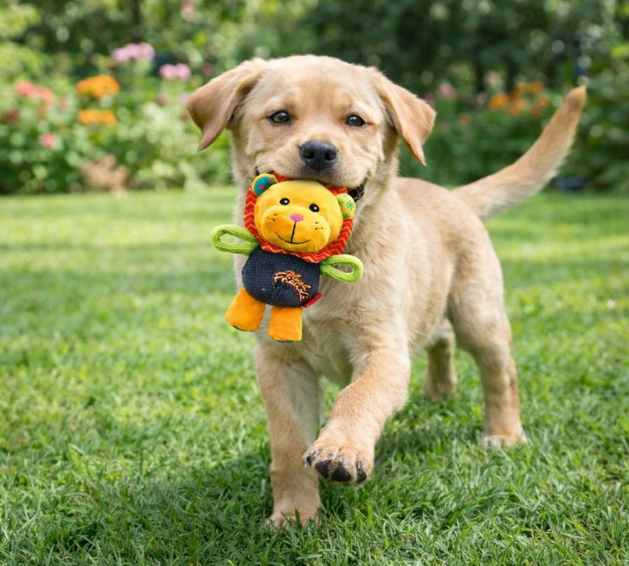 Gigwi Peluche Plush Friendz León Talla M juguete suave con sonido, resistente y seguro. Ideal para morder, jugar y acurrucarse.