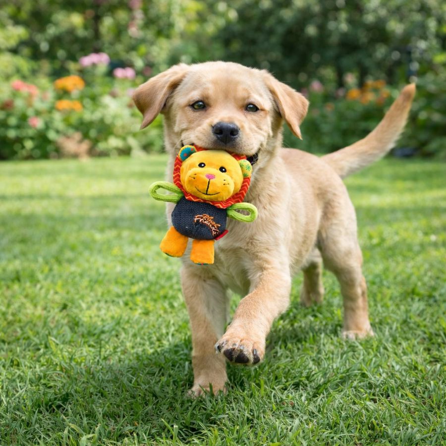 Gigwi Peluche Plush Friendz León Talla M juguete suave con sonido, resistente y seguro. Ideal para morder, jugar y acurrucarse.