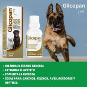 Glicopan Pet 125 ml suplemento líquido con 22 aminoácidos, vitaminas B y glucosa. Estimula el apetito, da energía y mejora el estado general de tu mascota. B-Pets