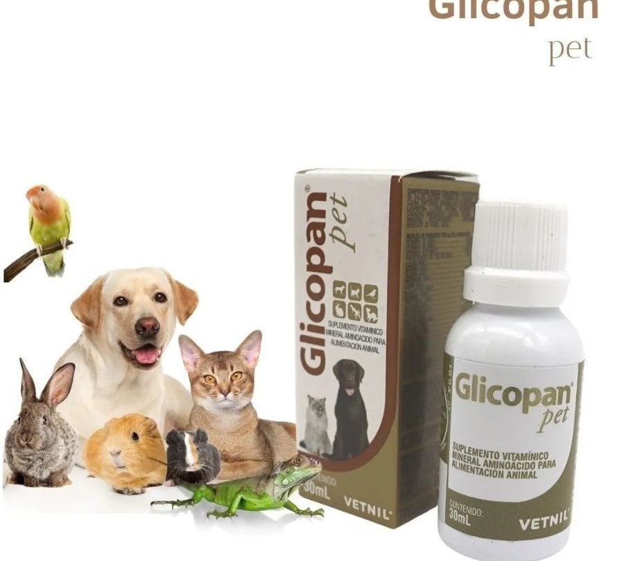 Glicopan Pet 125 ml suplemento líquido con 22 aminoácidos, vitaminas B y glucosa. Estimula el apetito, da energía y mejora el estado general de tu mascota. B-Pets