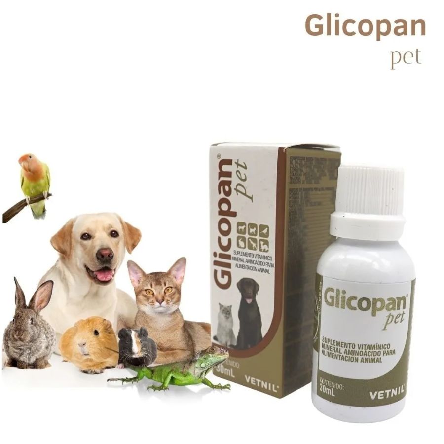 Glicopan Pet 125 ml suplemento líquido con 22 aminoácidos, vitaminas B y glucosa. Estimula el apetito, da energía y mejora el estado general de tu mascota. B-Pets