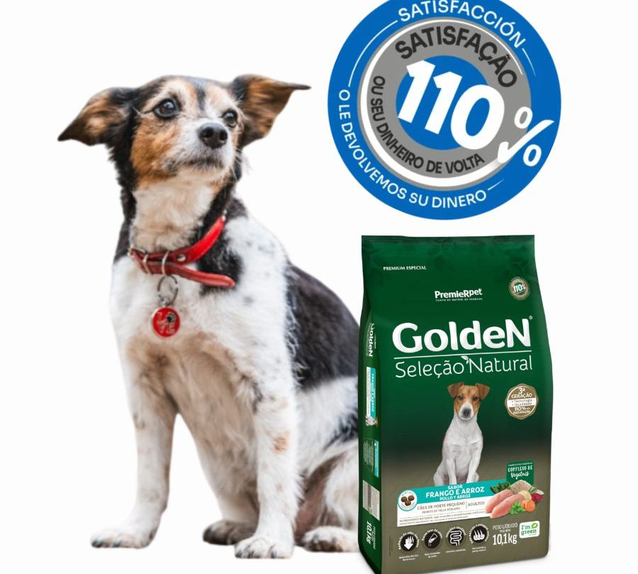 GoldeN Perros Adultos Razas Pequeñas Sabor Pollo y Arroz, alimento natural sin aditivos artificiales, con vegetales y alto valor nutricional.