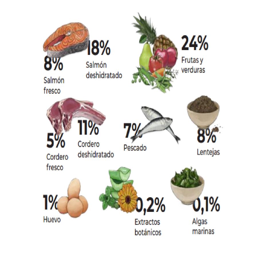 Gosbi Exclusive Grain Free Adult Mini 2kg, con salmón y cordero frescos, sin cereales, ideal para perros pequeños. Alta palatabilidad y fácil digestión.