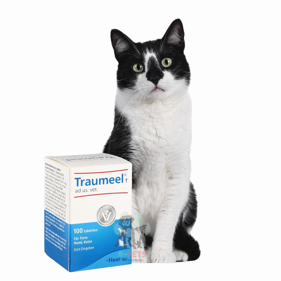 Heel Traumeel 100 Comprimidos, tratamiento homeopático para mascotas que alivia inflamaciones, dolores y promueve la reparación de tejidos.