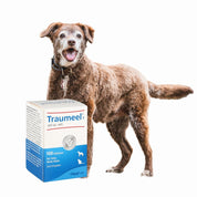 Heel Traumeel 100 Comprimidos, tratamiento homeopático para mascotas que alivia inflamaciones, dolores y promueve la reparación de tejidos.
