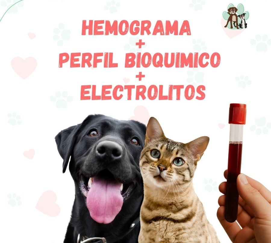 Examen de Sangre para mascotas: Hemograma + Perfil Bioquimico + Electrolitos bpets.cl