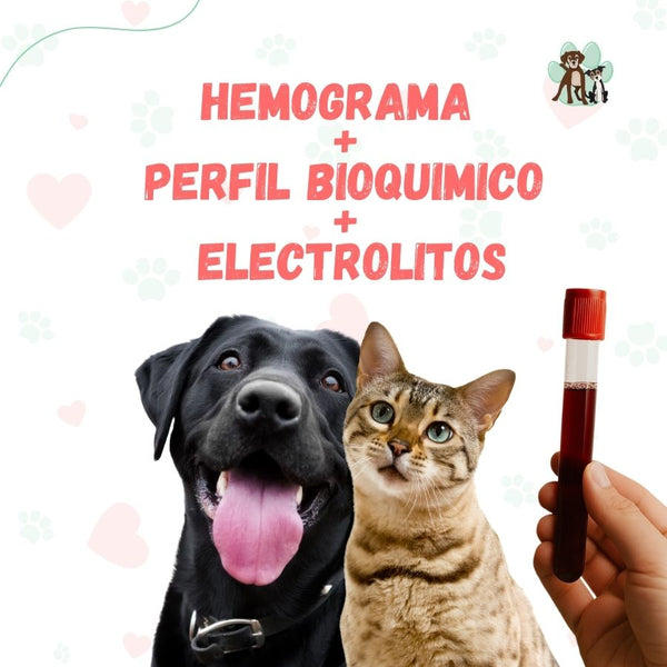 Examen de Sangre para mascotas: Hemograma + Perfil Bioquimico + Electrolitos bpets.cl