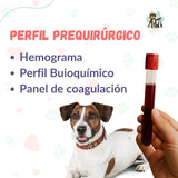 Hemograma + Perfil Bioquimico + Panel de coagulación