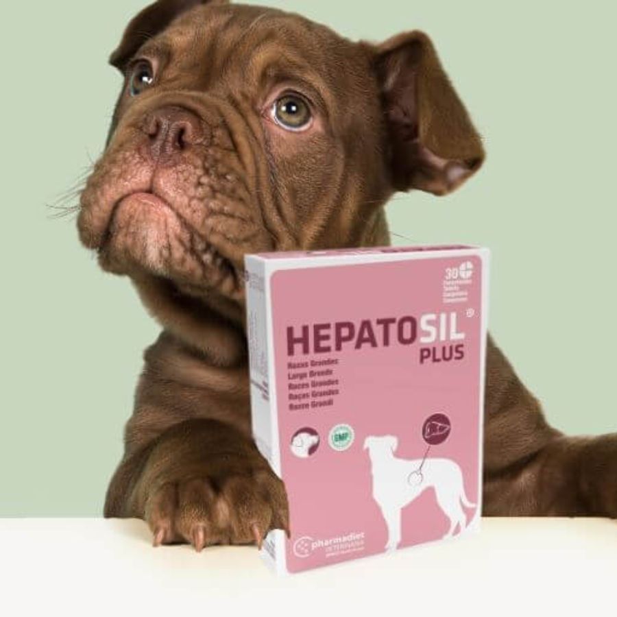 Hepatosil Razas Medianas 30 Comprimidos, suplemento con silibina, zinc y vitaminas para proteger el hígado y apoyar la función hepática en perros. B-Pets